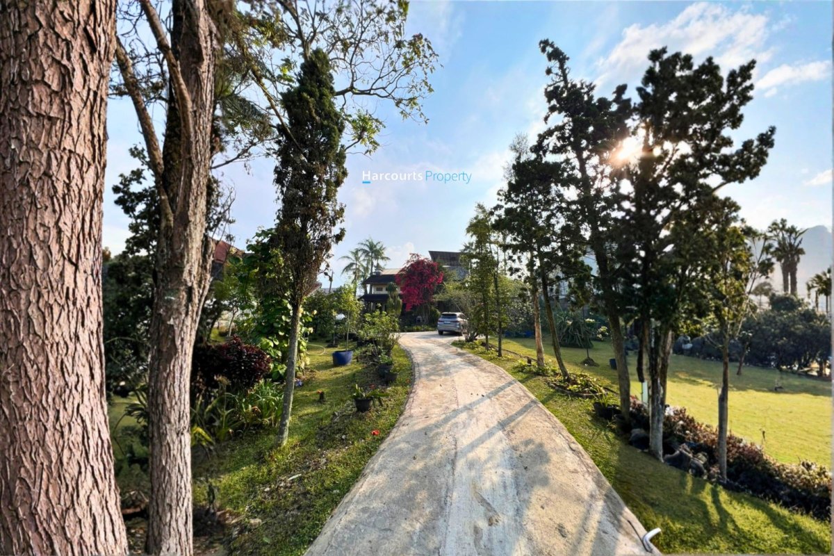 Dijual Villa Modern Tropis View Pegunungan Lingkungan Asri dan Tenang di Puncak, Bogor - Foto 3