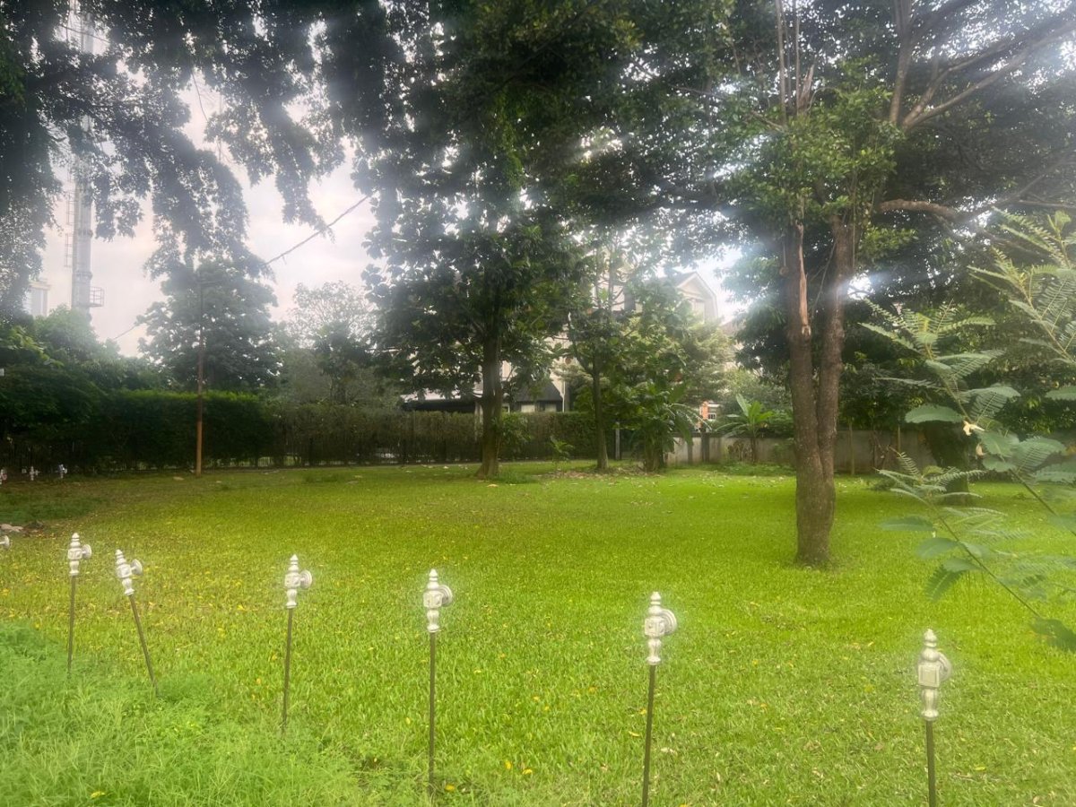 Dijual Tanah Lokasi Strategis Jalan Raya Veteran - Foto 3