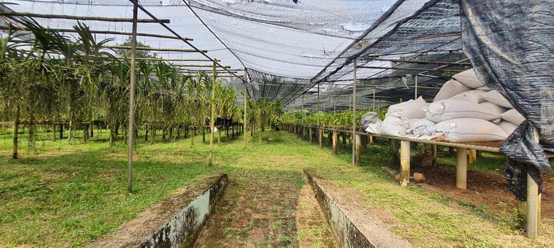 Dijual Rumah Luas Dan Asri Di Jl. Sarinembah Desa Harjamukti, Cimanggis - Depok - Foto 3
