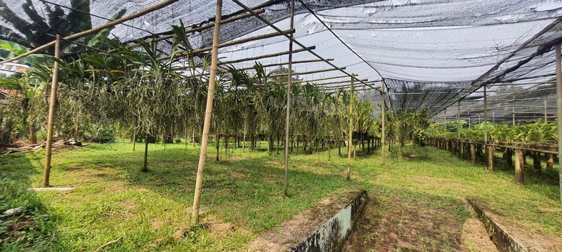 Dijual Rumah Luas Dan Asri Di Jl. Sarinembah Desa Harjamukti, Cimanggis - Depok - Foto 4