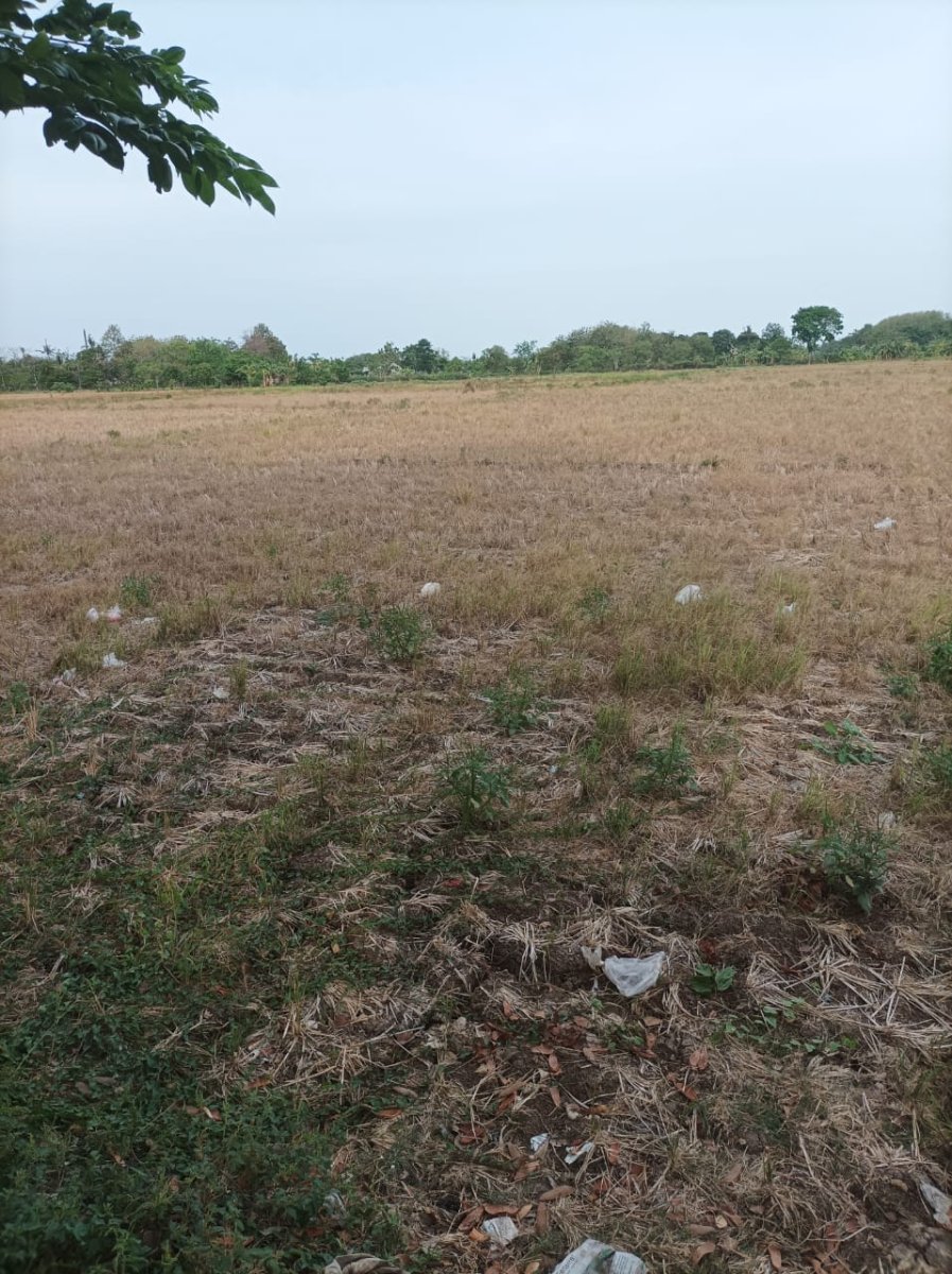 Dijual Tanah Di Cluster Jalan Gabus, Bekasi