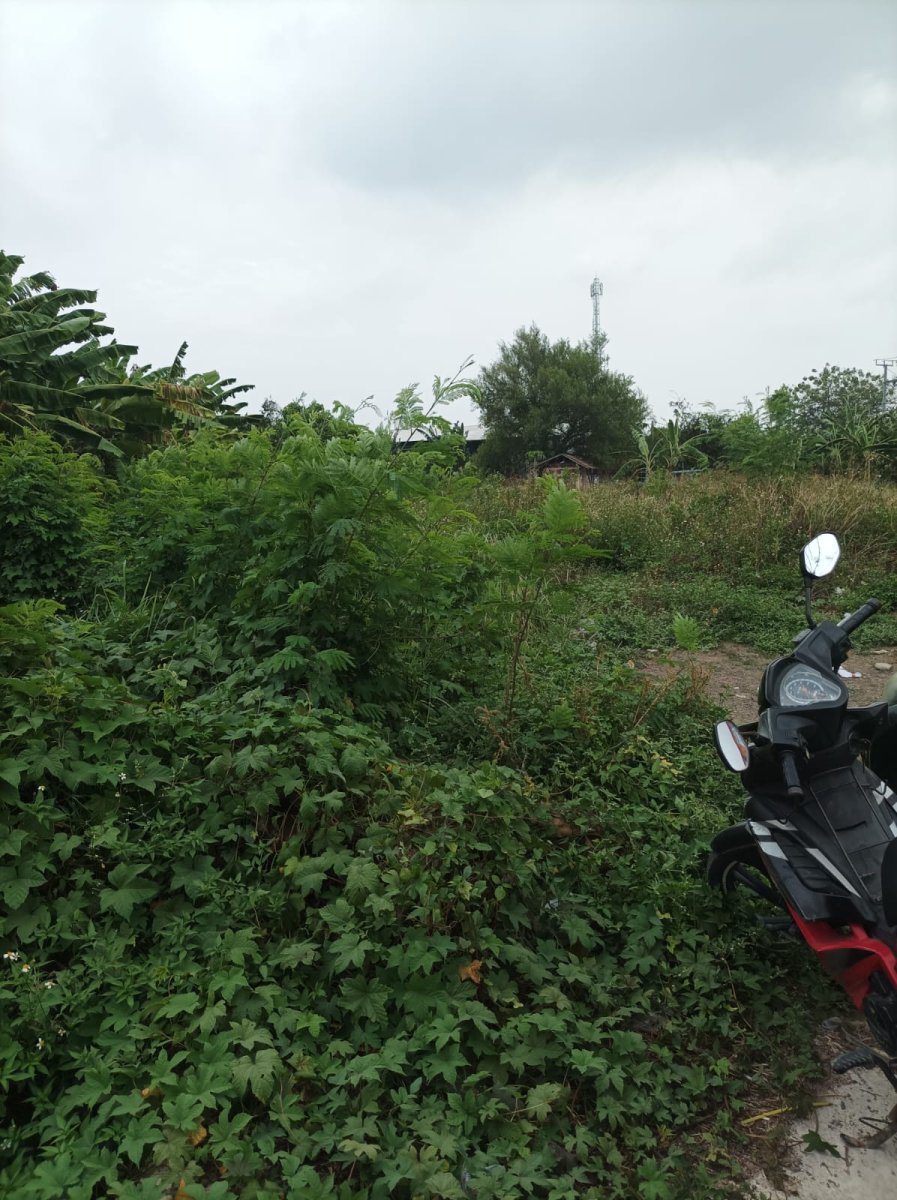 Dijual Tanah Di Jl. Raya Sukatenang, Bekasi