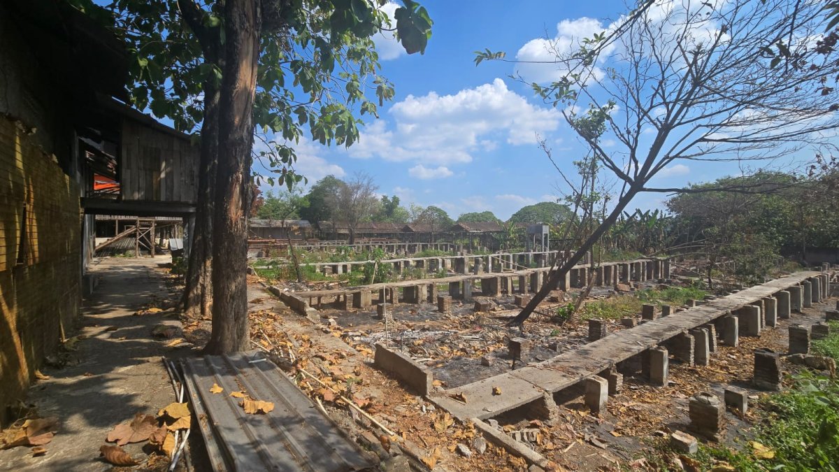 Tanah Murah Eks Kandang Ayam di Sroyo Jaten Karanganyar - Foto 4