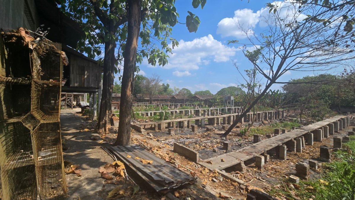 Tanah Murah Eks Kandang Ayam di Sroyo Jaten Karanganyar - Foto 9