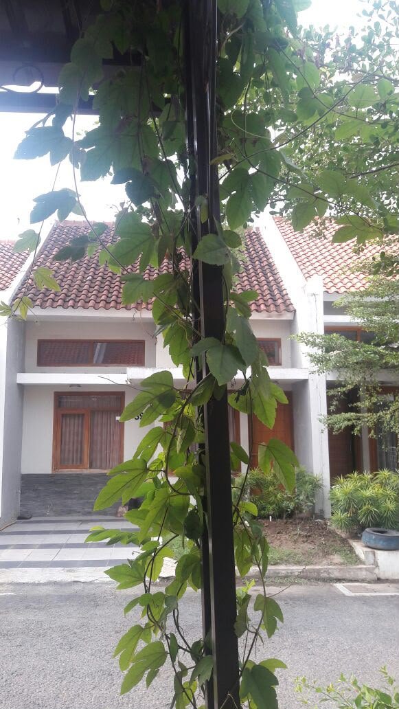 Rumah Full Furnished Siap Huni di Cluster Elite Colomadu - Foto 9