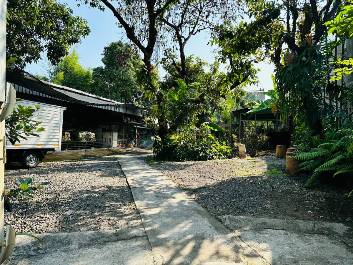 Rumah Induk Mewah Vintage Siap Huni Beserta Kantor & Asrama Staff di Jalan Raya Adi Sucipto, Solo - Foto 10