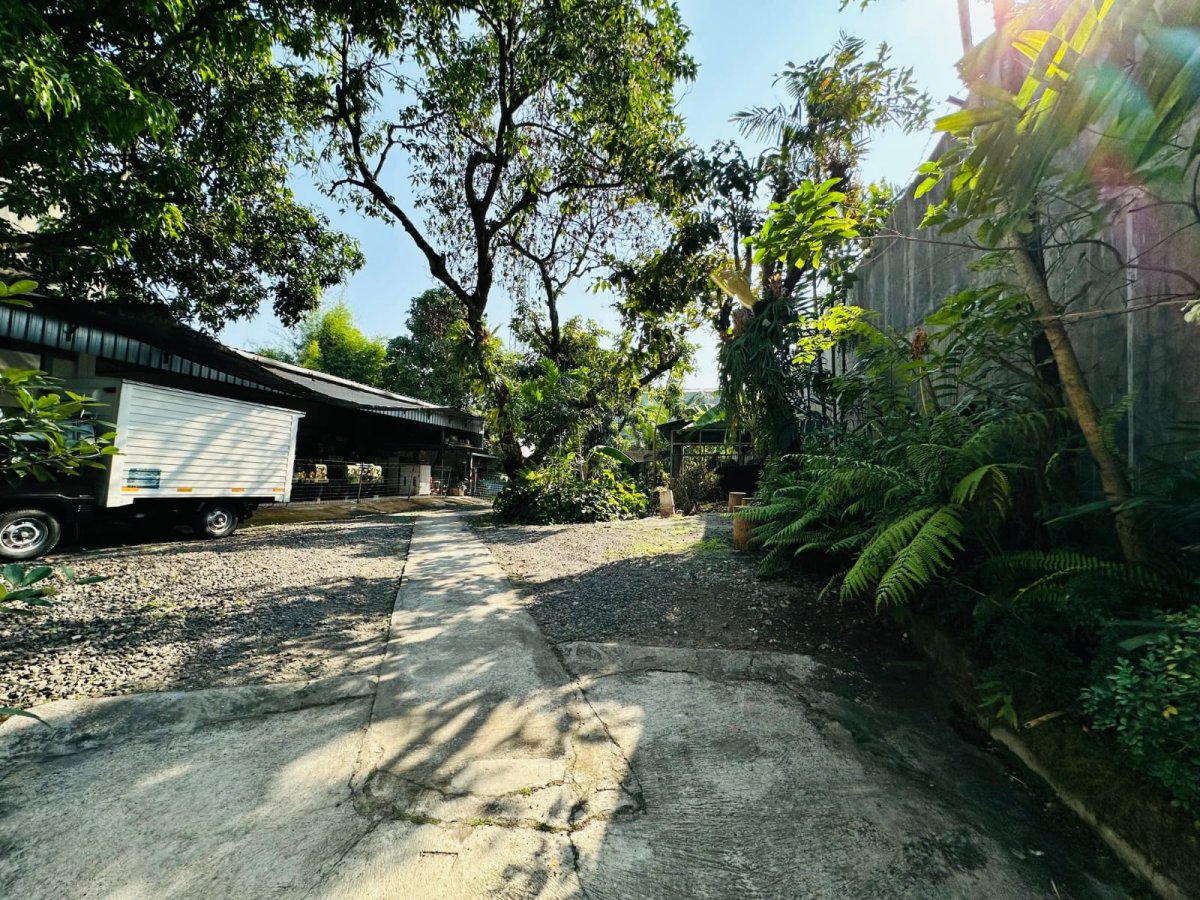 Rumah Induk Mewah Vintage Siap Huni Beserta Kantor & Asrama Staff di Jalan Raya Adi Sucipto, Solo - Foto 13