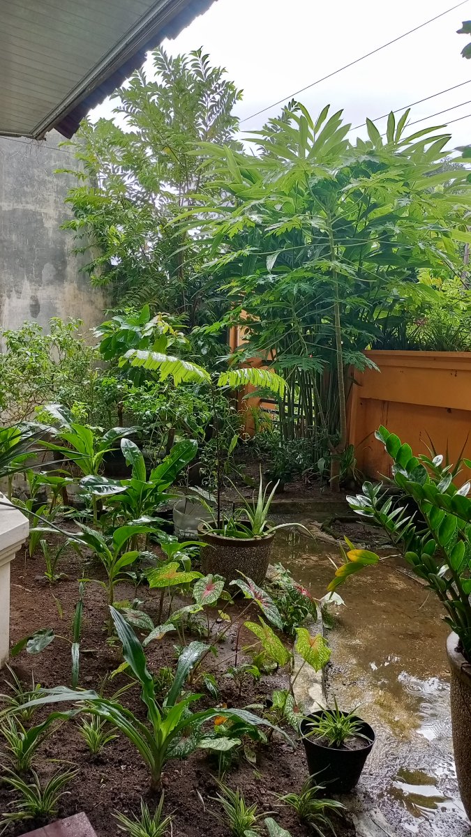 Dijual rumah full furnished vintage 2 lantai - Foto 3