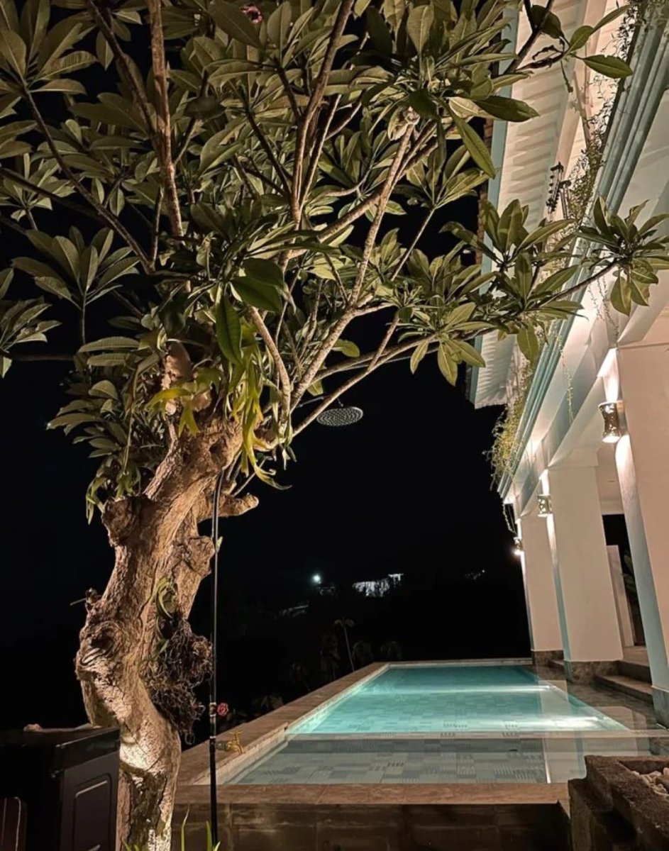 For Sale New Luxury Villa Tropical Colonial Style @Singaraja Bali - Foto 3