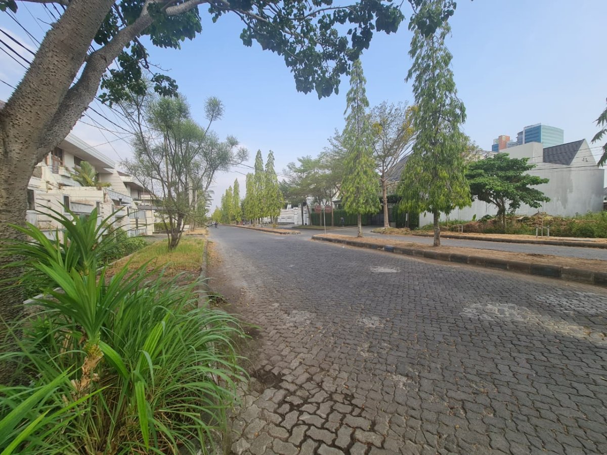 Tanah istimewa dan favorit di jalan cemara raya solo baru - Foto 2