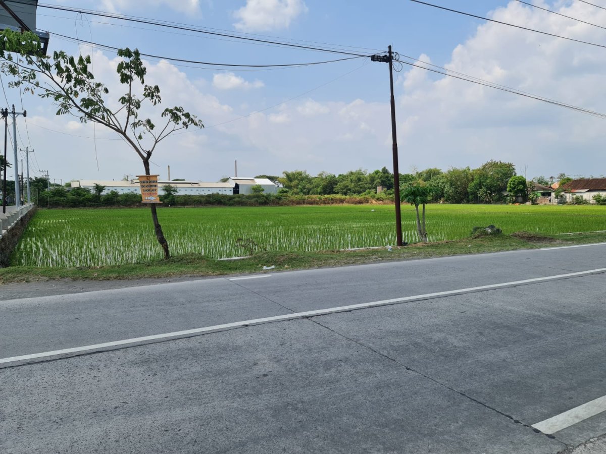 Tanah Istimewa Jalan Raya Solo Sukoharjo - Foto 2