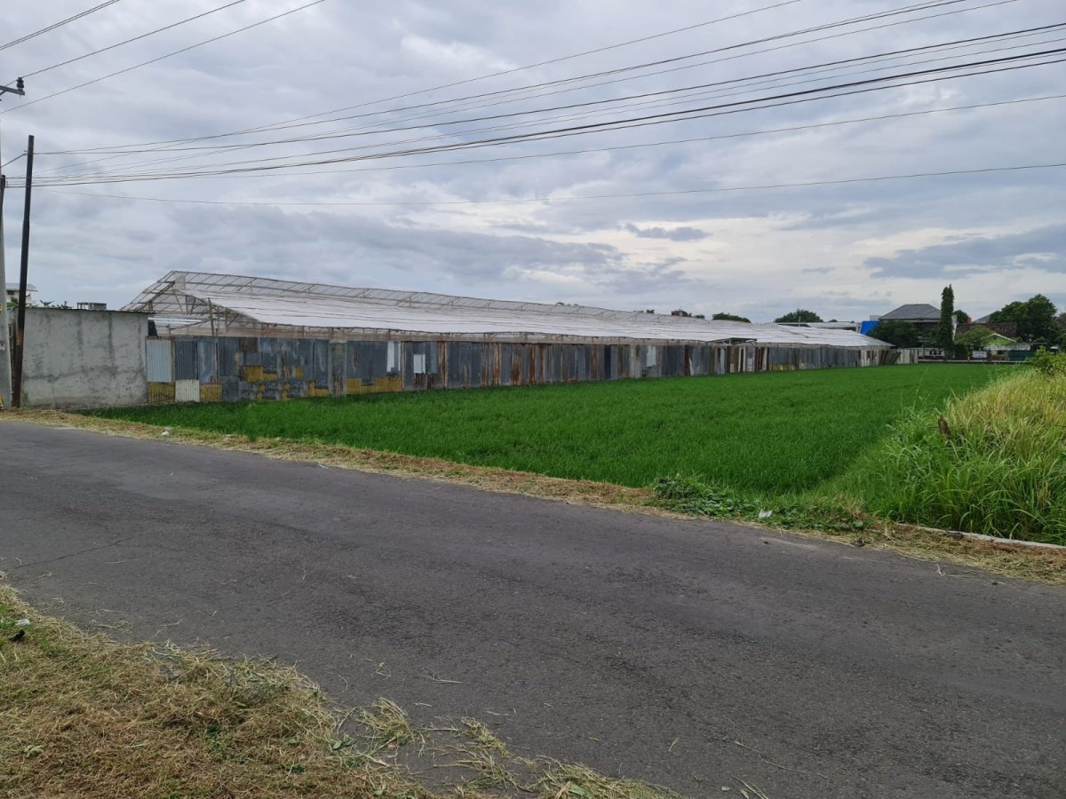 Tanah Siap Bangun Dapat 2 Jalan di Colomadu Solo - Foto 4