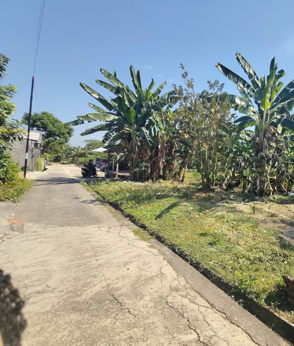 Dijual Tanah dekat Gerbang Tol Gondangrejo - Foto 3