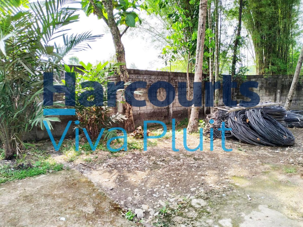 DIJUAL GUDANG DI SENTUL – BABAKAN MADANG - Foto 3