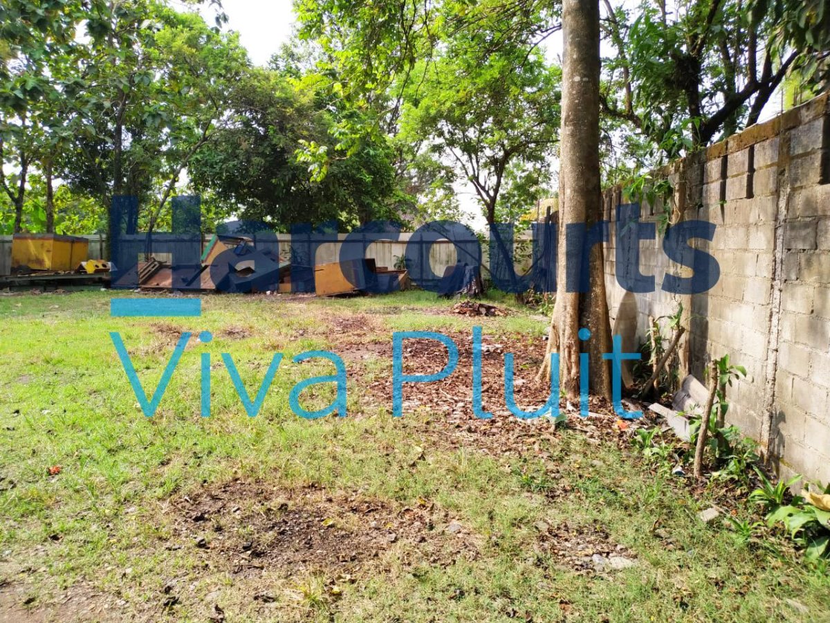DIJUAL GUDANG DI SENTUL – BABAKAN MADANG - Foto 6