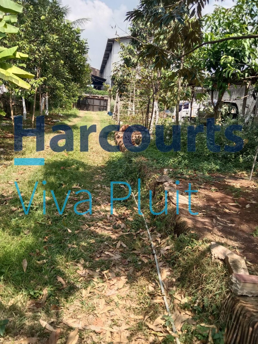 DIJUAL – RUMAH TUA HITUNG TANAH | KAPUK MANGGA UBI - Foto 3