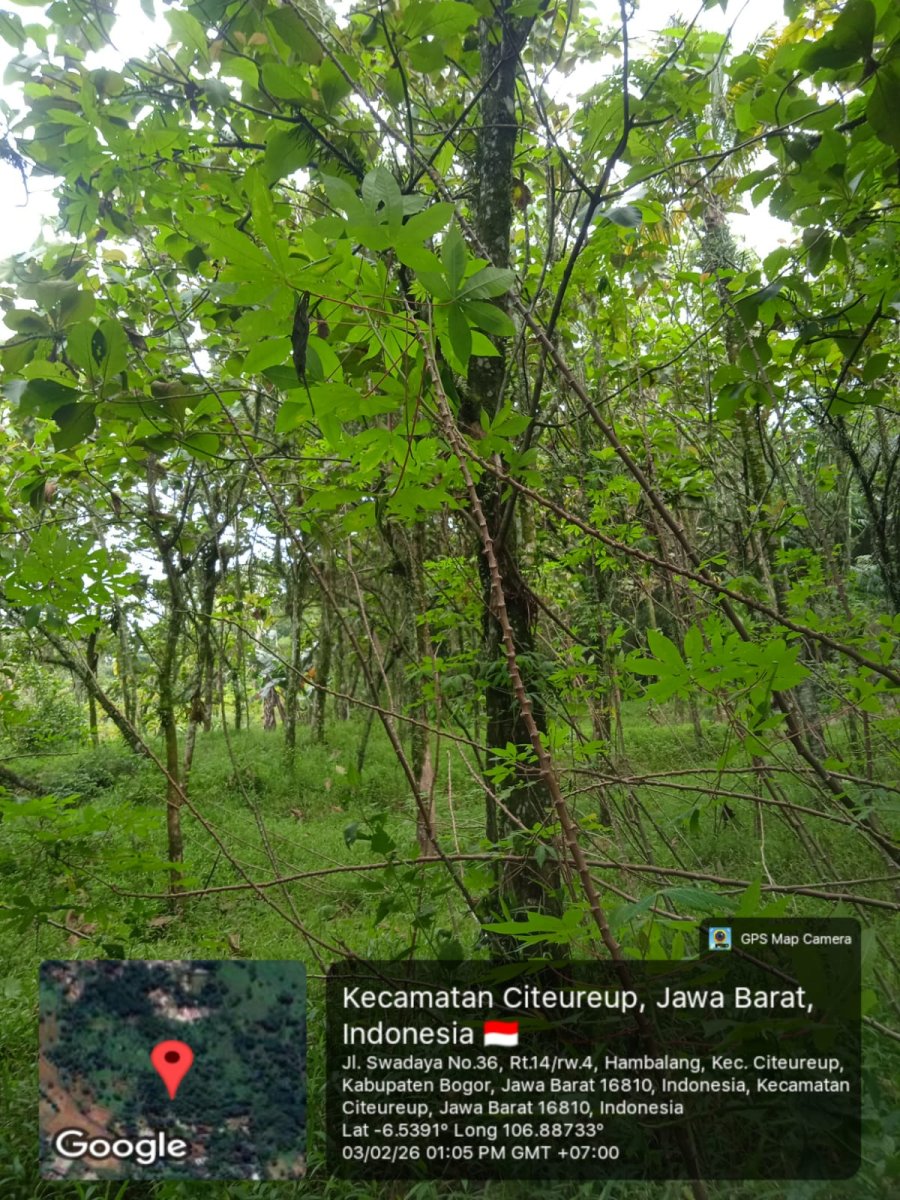 Dijual kavling tanah di Komplek Bukit Pelangi Bogor Jawa Barat