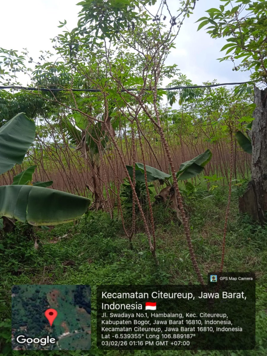 Dijual kavling tanah di Komplek Bukit Pelangi Bogor Jawa Barat - Foto 4