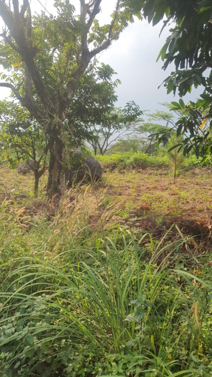 Dijual kavling tanah di Komplek Bukit Pelangi Bogor Jawa Barat - Foto 5