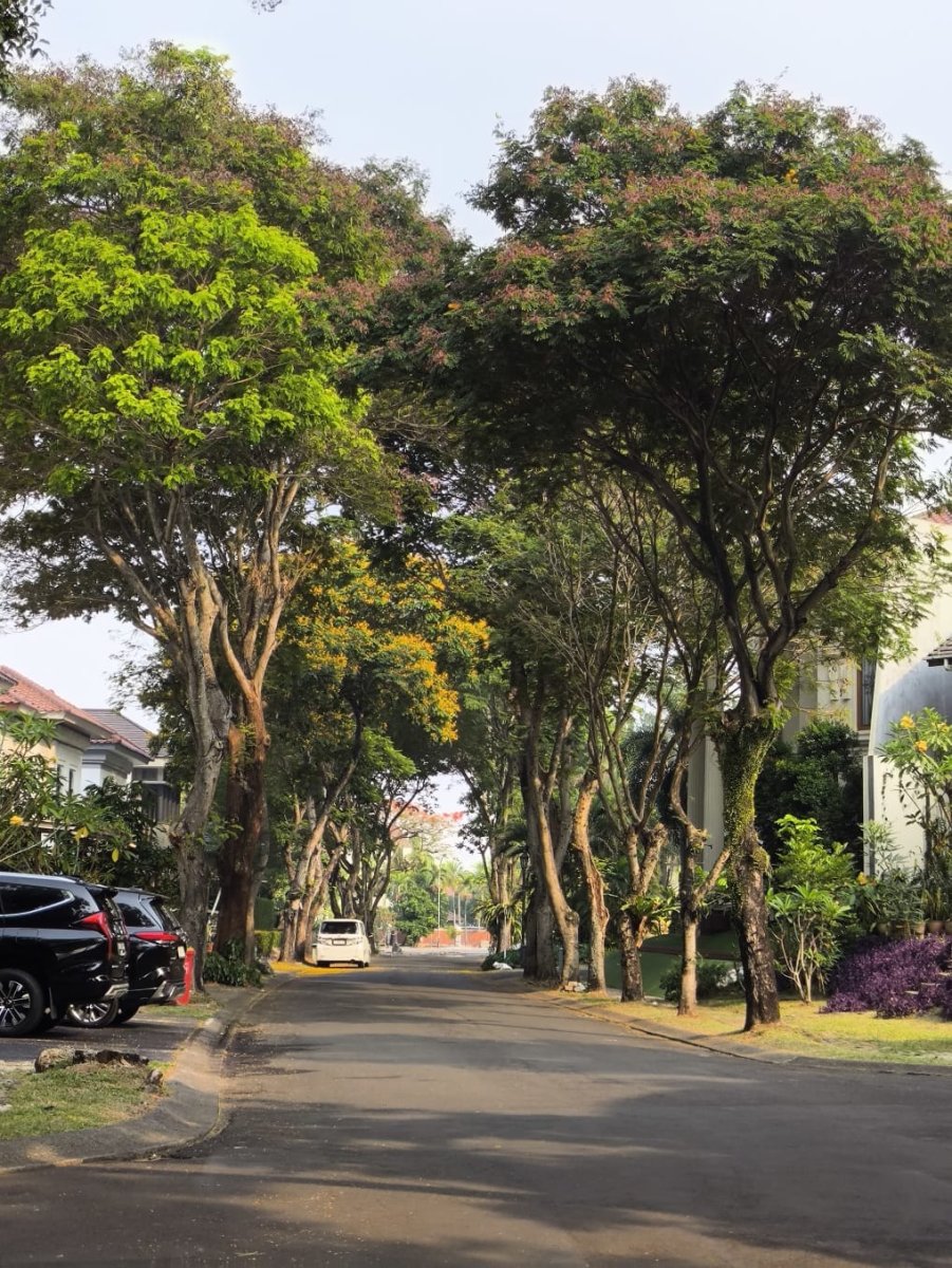 Dijual Rumah Sudut Halaman Luas Giri Loka BSD - Foto 9
