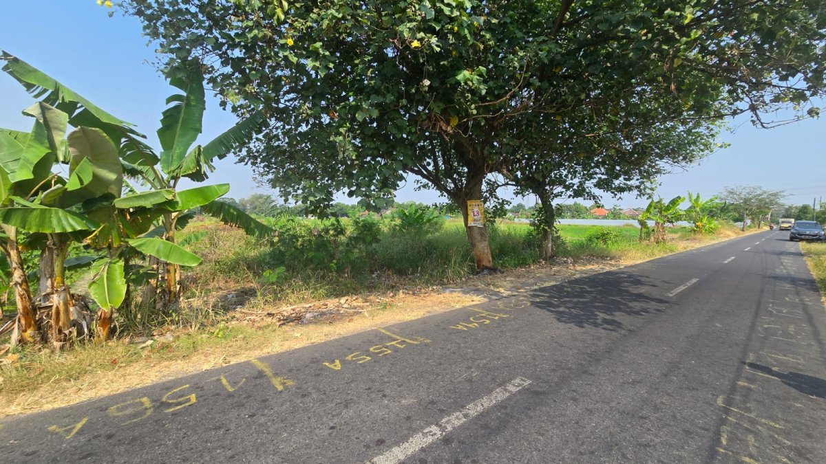 Tanah Strategis Dekat Pintu Tol Polanharjo Klaten - Foto 3