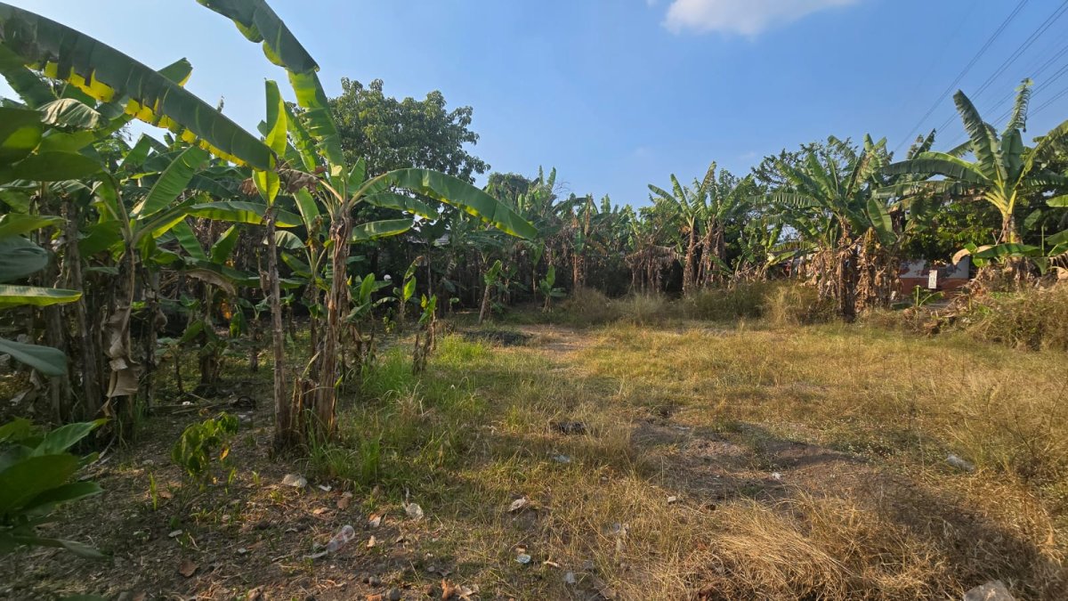 Tanah Siap Bangun Perumahan Di Gumpang Kartasura Solo - Foto 8