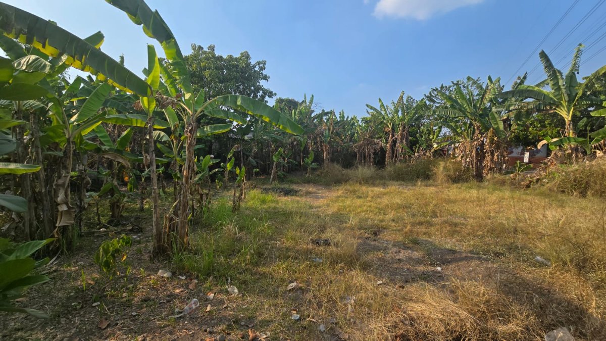 Tanah Siap Bangun Perumahan Di Gumpang Kartasura Solo - Foto 10