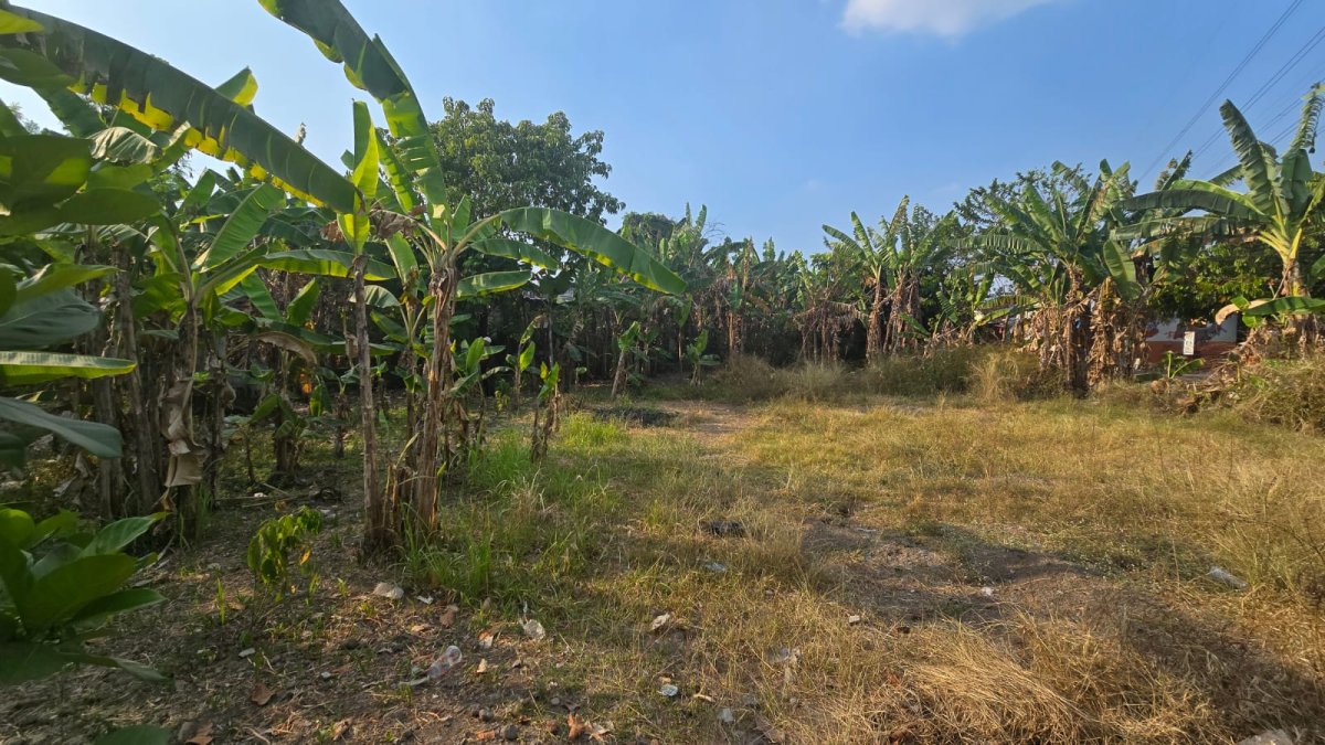 Tanah Siap Bangun Perumahan Di Gumpang Kartasura Solo - Foto 11