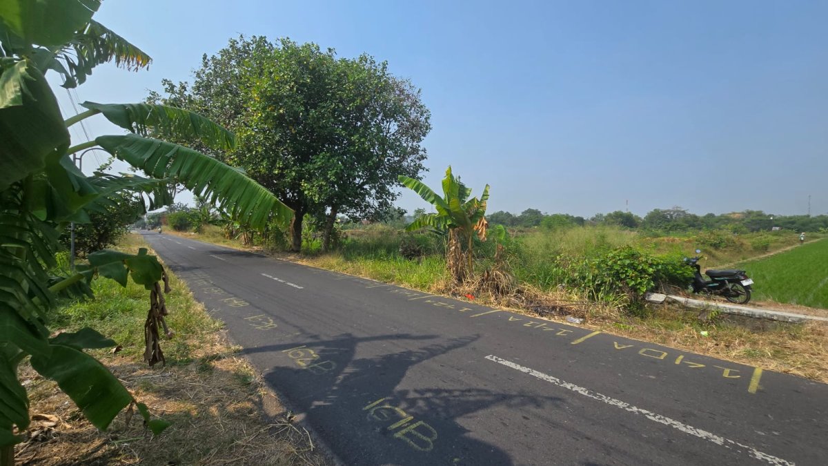 Tanah Pekarangan Siap Bangun di Duwet Wonosari - Foto 6