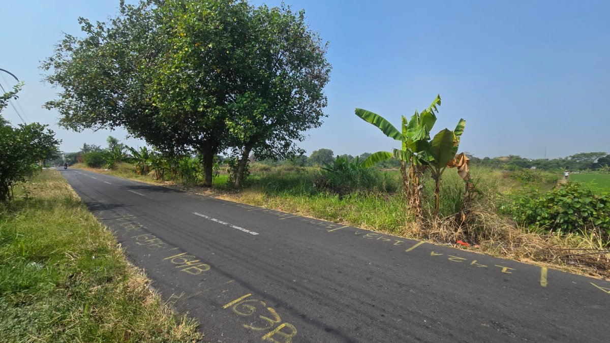 Tanah Pekarangan Siap Bangun di Duwet Wonosari - Foto 8