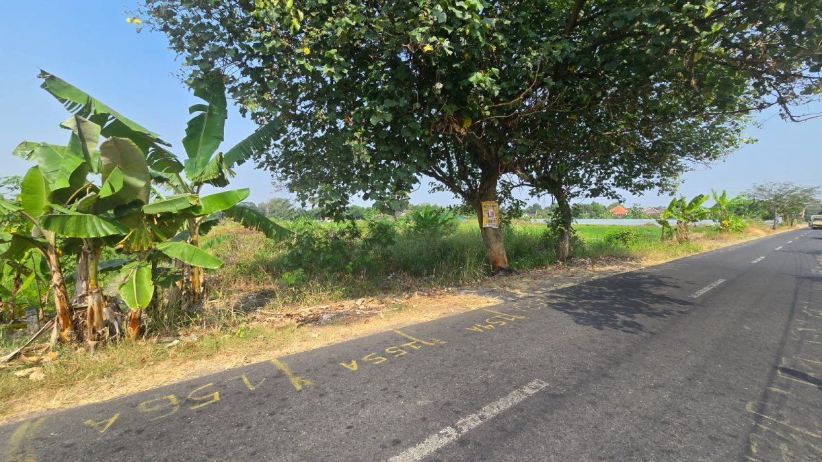 Tanah Pekarangan Siap Bangun di Duwet Wonosari - Foto 12