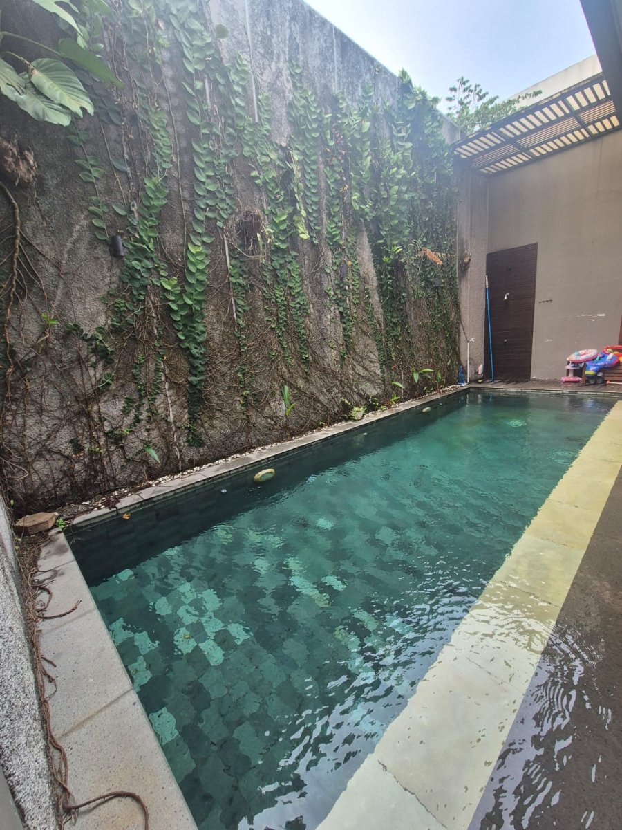 Rumah Pondok Labu, Cilandak - Foto 10
