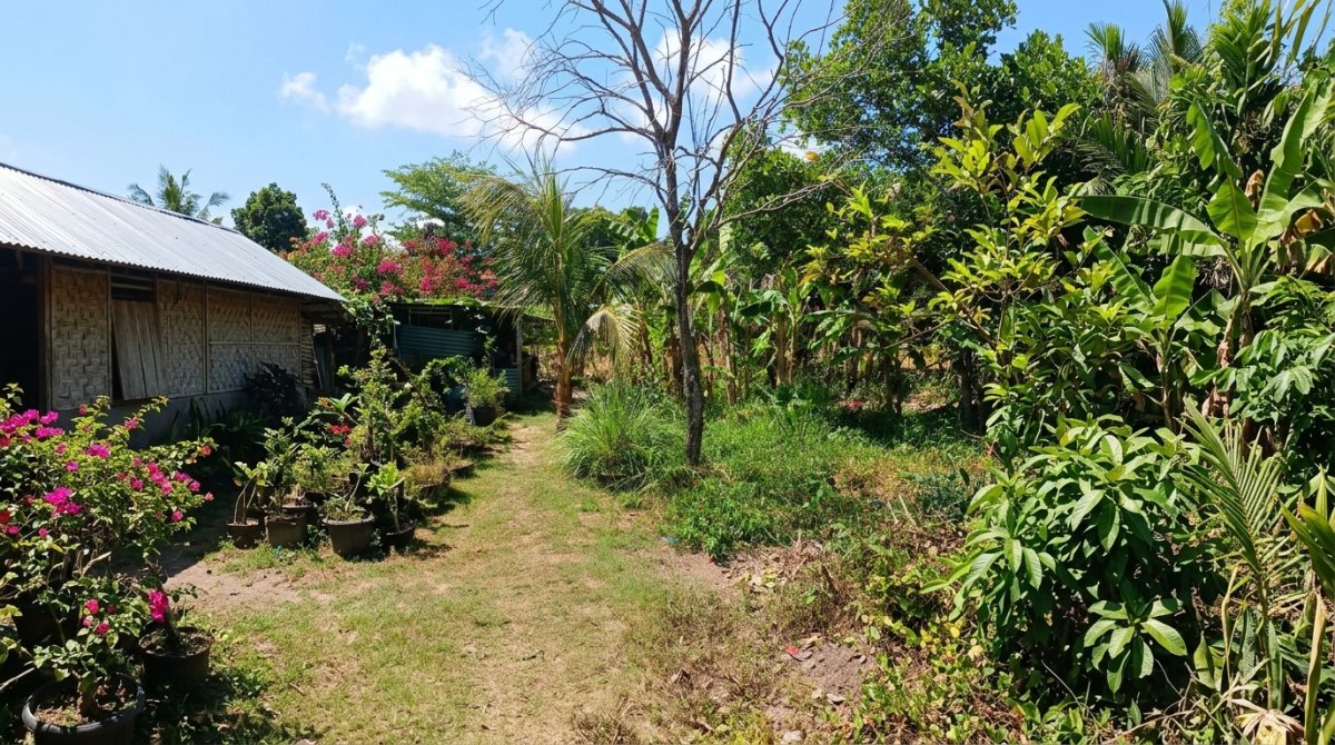 Land For Lease: Rare Rice Field & Stream Edge Plot in Buwit, Tabanan