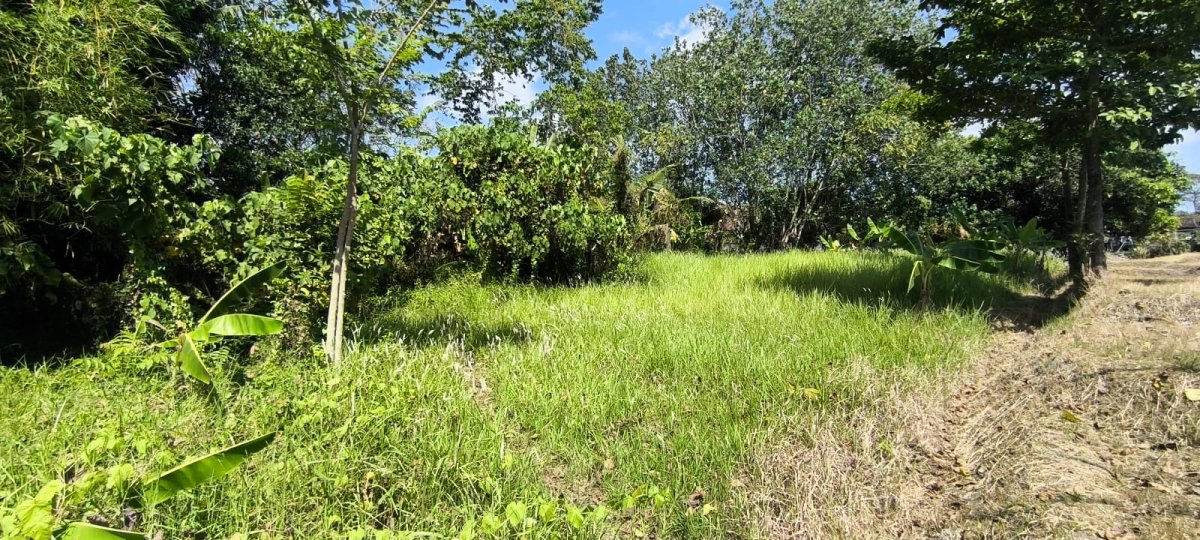 Tanah Strategis dengan View Sawah dan Sungai Area Buwit, Tabanan - Foto 2