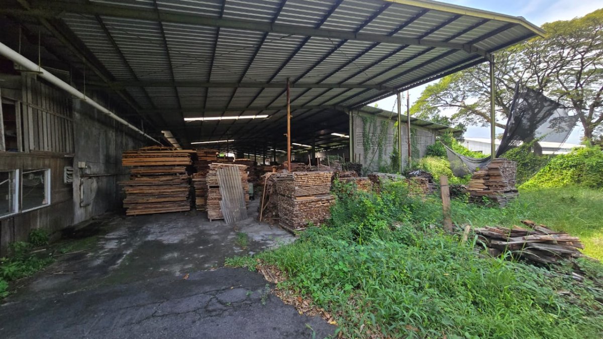 Tanah Super Strategis dan Eks Pabrik Kayu di Jalan Adi Sucipto - Foto 2