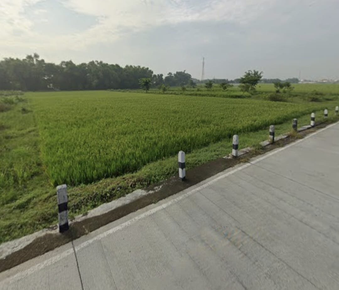 Tanah Murah Strategis Dekat Pintu Tol Sragen - Foto 4
