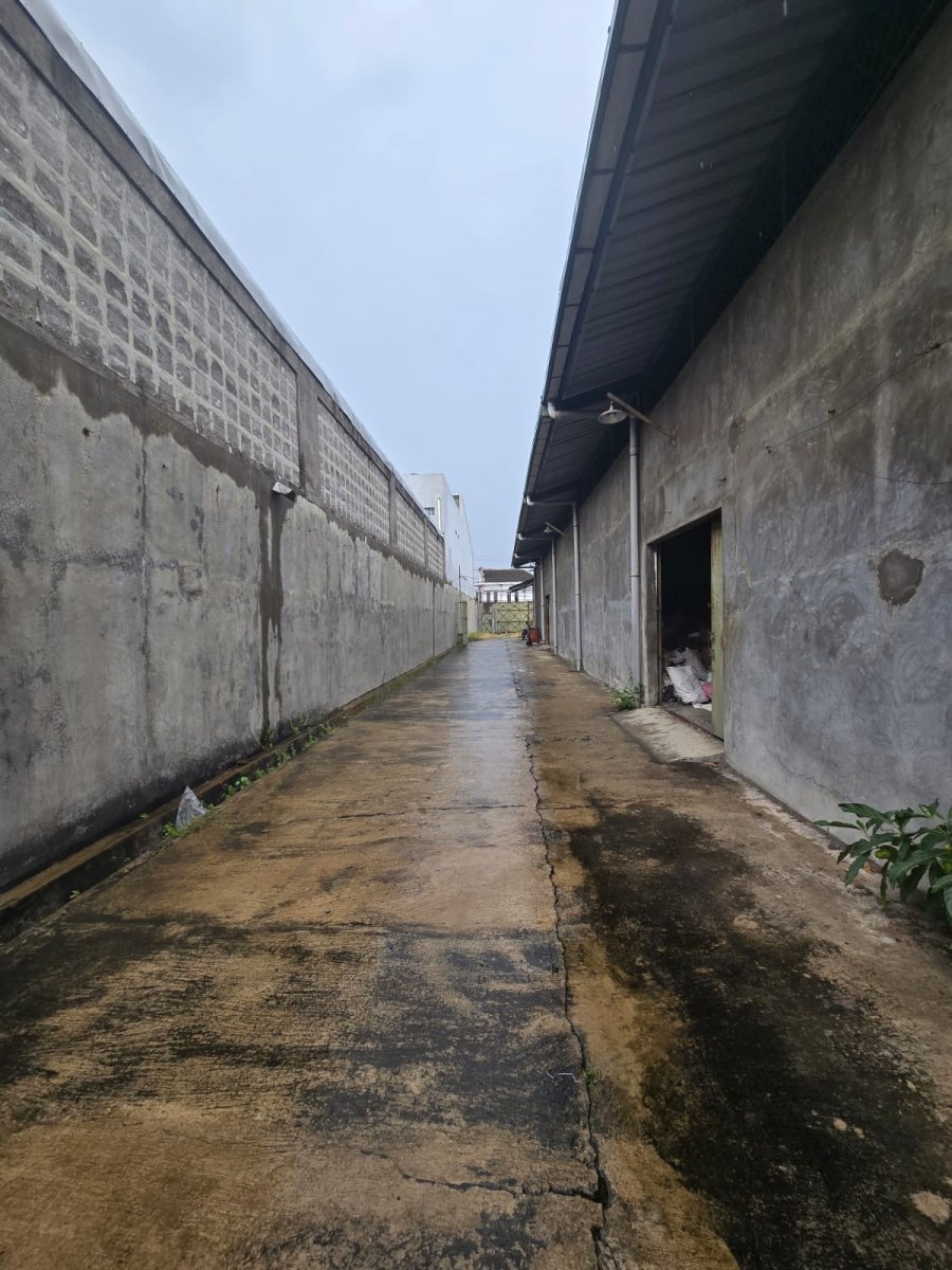 Gudang Strategis di Jalan Sidoluhur Cemani Baki Sukoharjo - Foto 2