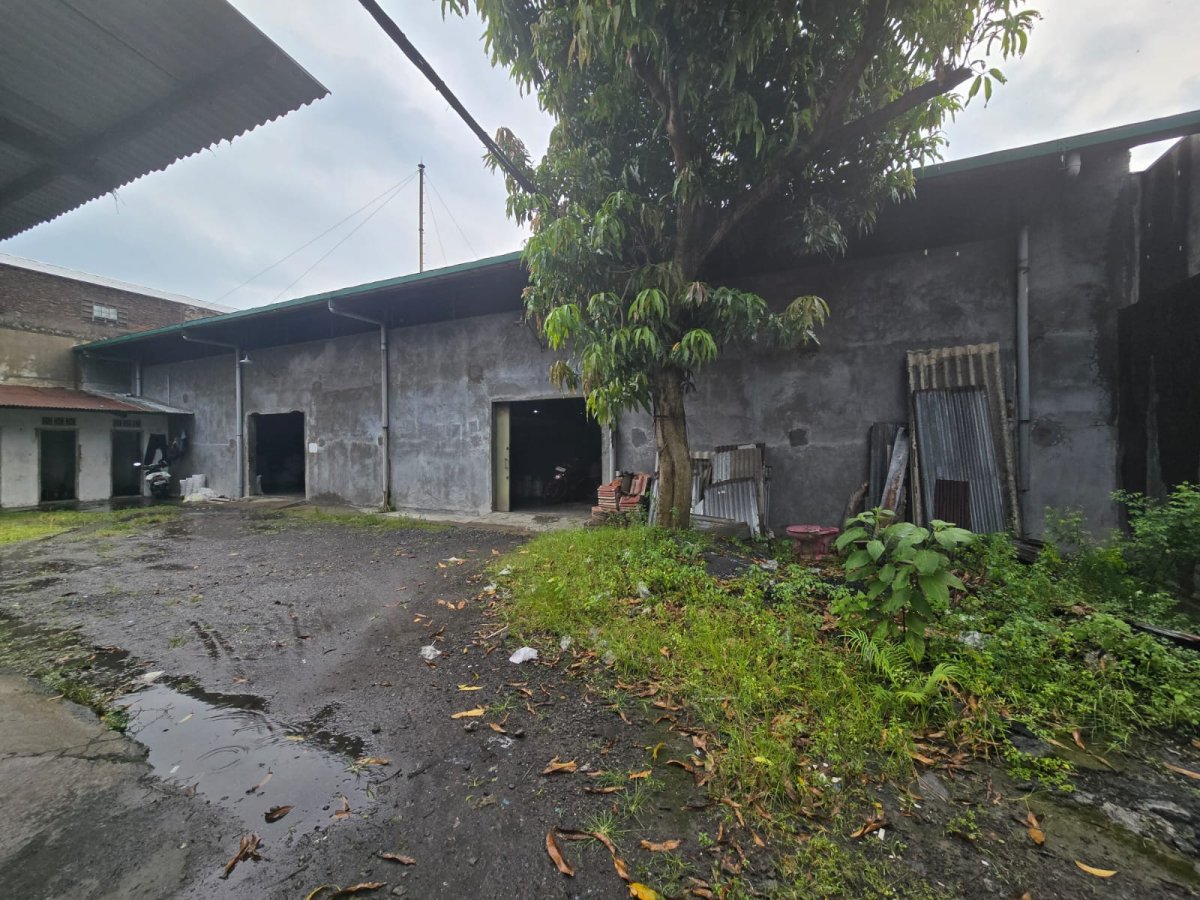Gudang Strategis di Jalan Sidoluhur Cemani Baki Sukoharjo - Foto 9