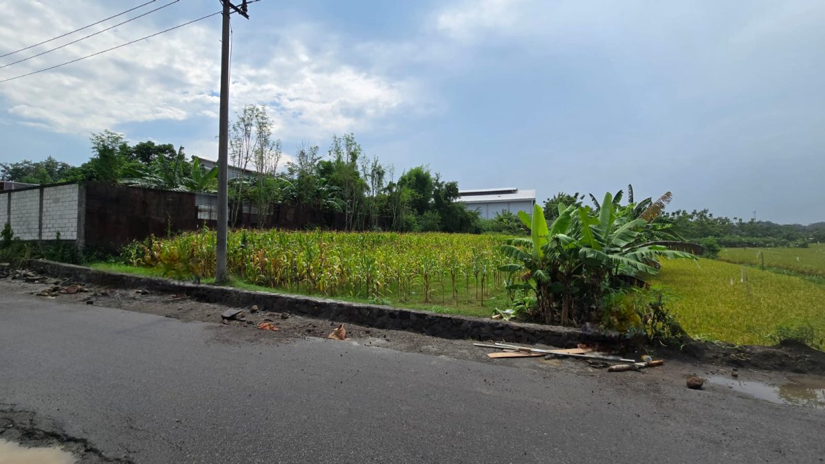 Tanah Murah Dekat Ringroad Mojosongo Solo - Foto 2