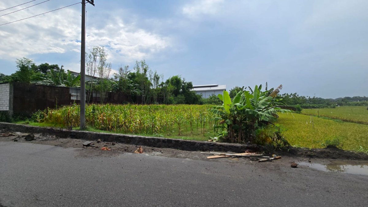 Tanah Murah Dekat Ringroad Mojosongo Solo - Foto 4