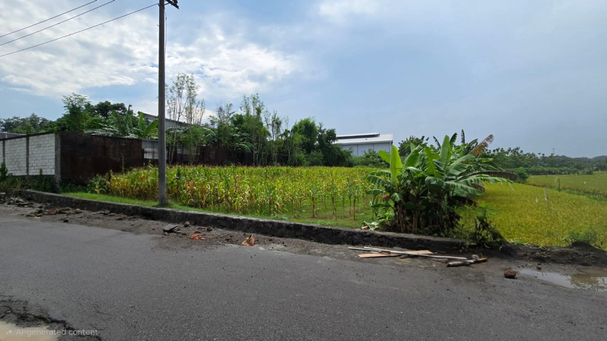 Tanah Murah Dekat Ringroad Mojosongo Solo - Foto 6
