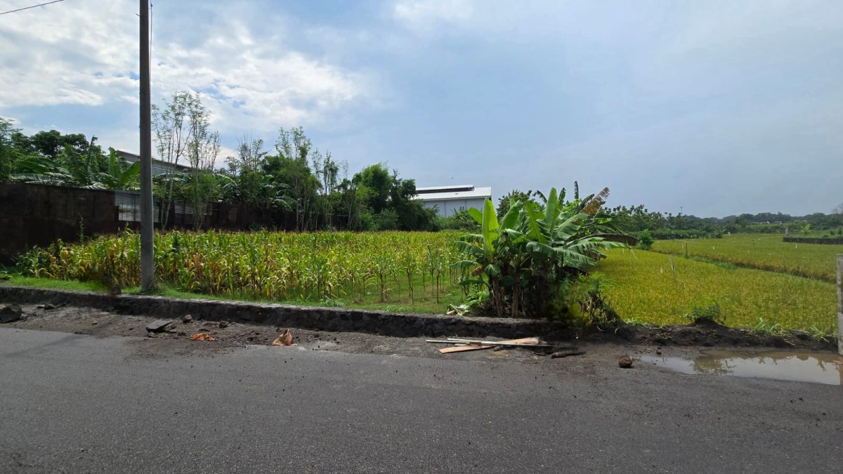 Tanah Murah Dekat Ringroad Mojosongo Solo - Foto 8