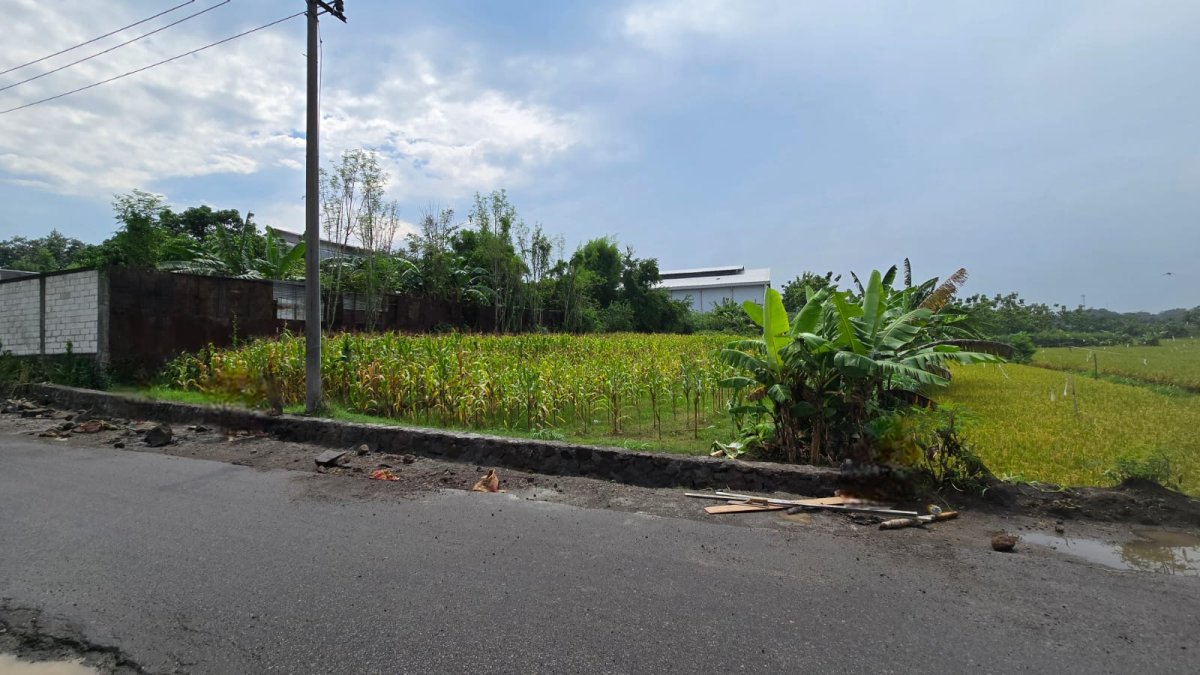 Tanah Murah Dekat Ringroad Mojosongo Solo - Foto 9