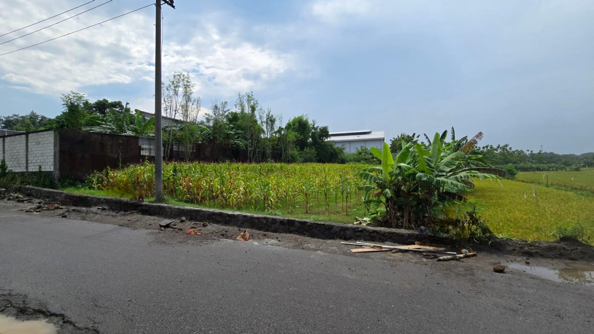 Tanah Murah Dekat Ringroad Mojosongo Solo - Foto 10