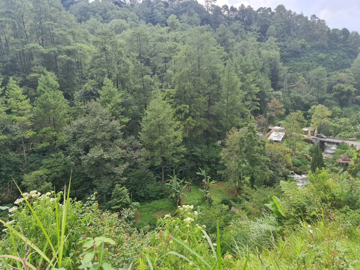 Tanah Pekarangan Istimewa Untuk Villa Di Tawangmangu - Foto 2