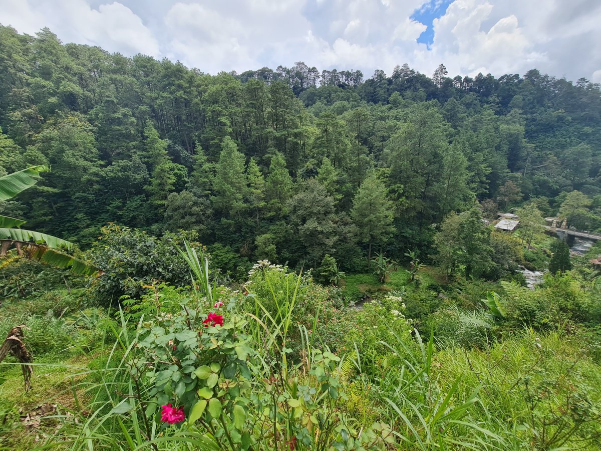 Tanah Pekarangan Istimewa Untuk Villa Di Tawangmangu - Foto 3