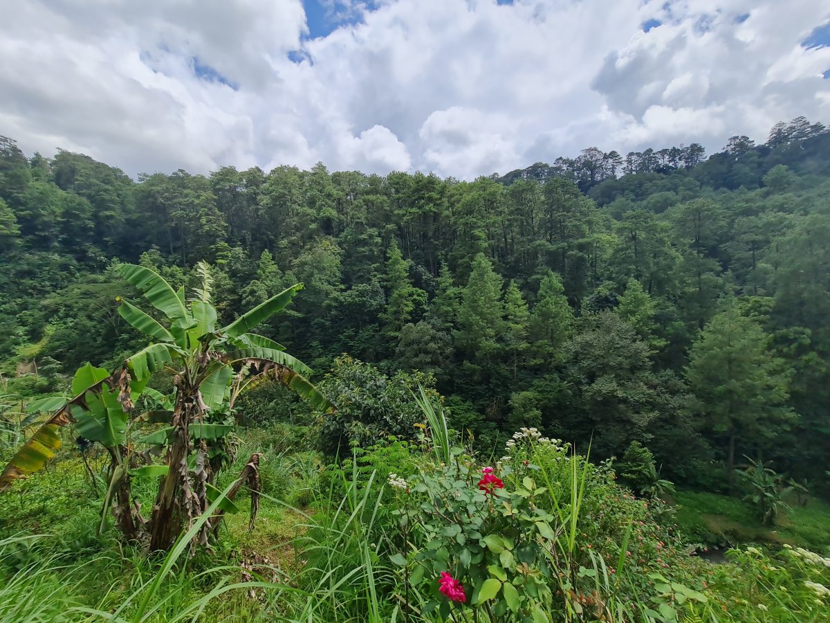 Tanah Pekarangan Istimewa Untuk Villa Di Tawangmangu