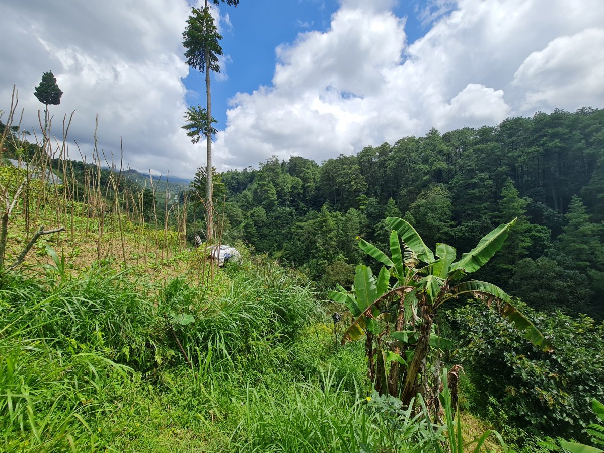 Tanah Pekarangan Istimewa Untuk Villa Di Tawangmangu - Foto 5