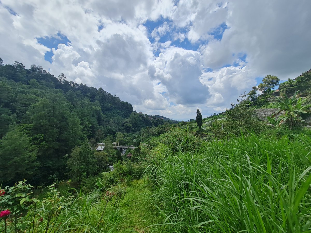 Tanah Pekarangan Istimewa Untuk Villa Di Tawangmangu - Foto 6