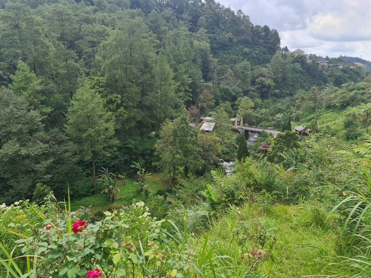 Tanah Pekarangan Istimewa Untuk Villa Di Tawangmangu - Foto 7